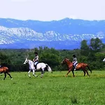 Josephine * Njivice